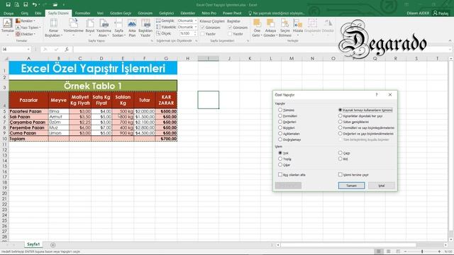 Excel Eğitim Dersleri 20 - Excel Özel Yapıştır İşlemleri Kopyala Yapıştır - Yeni Başlayanlar смотреть онлайн