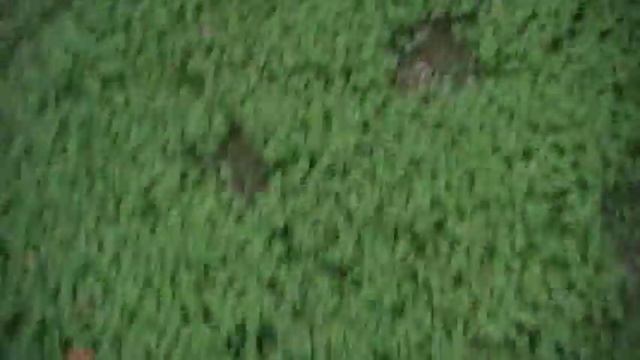 Clover field 2 смотреть онлайн