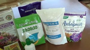 Безупречная схема подкормок для гортензий,что бы они прекрасно развивались и цвели.