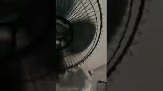 Inversor CDP 1012 700W Con Refrigerador Conectado