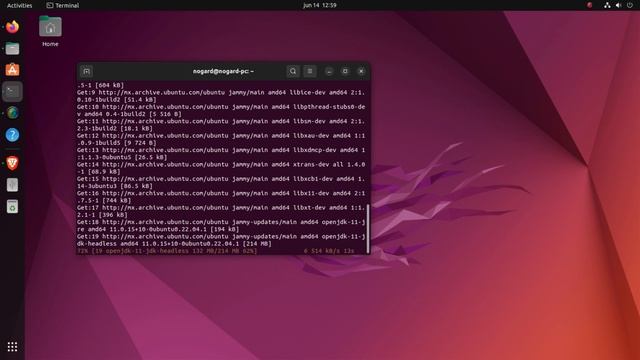 Tutorial Instalando JDK en Ubuntu 22.04 LTS desde Terminal смотреть онлайн