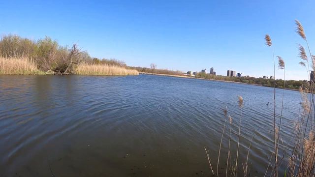 Fishing New York City for Northern Snakeheads смотреть онлайн