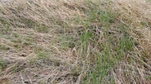 ЗАБРОШЕННАЯ ВОЕННАЯ ЧАСТЬ. Новоалтайск.