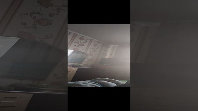 VID_20240414_171510.mp4 смотреть онлайн