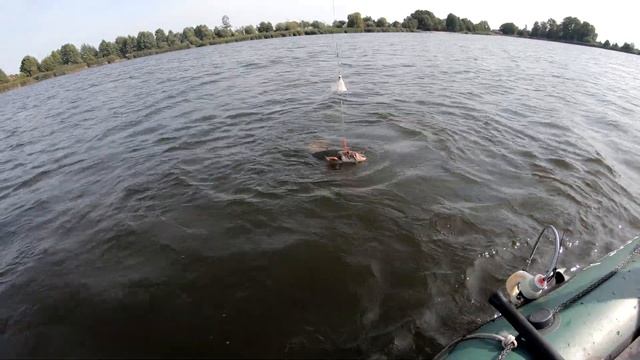 Sum na kwoka , branie suma na teaser , kwok na suma . Catfish for the brood , fishing смотреть онлайн