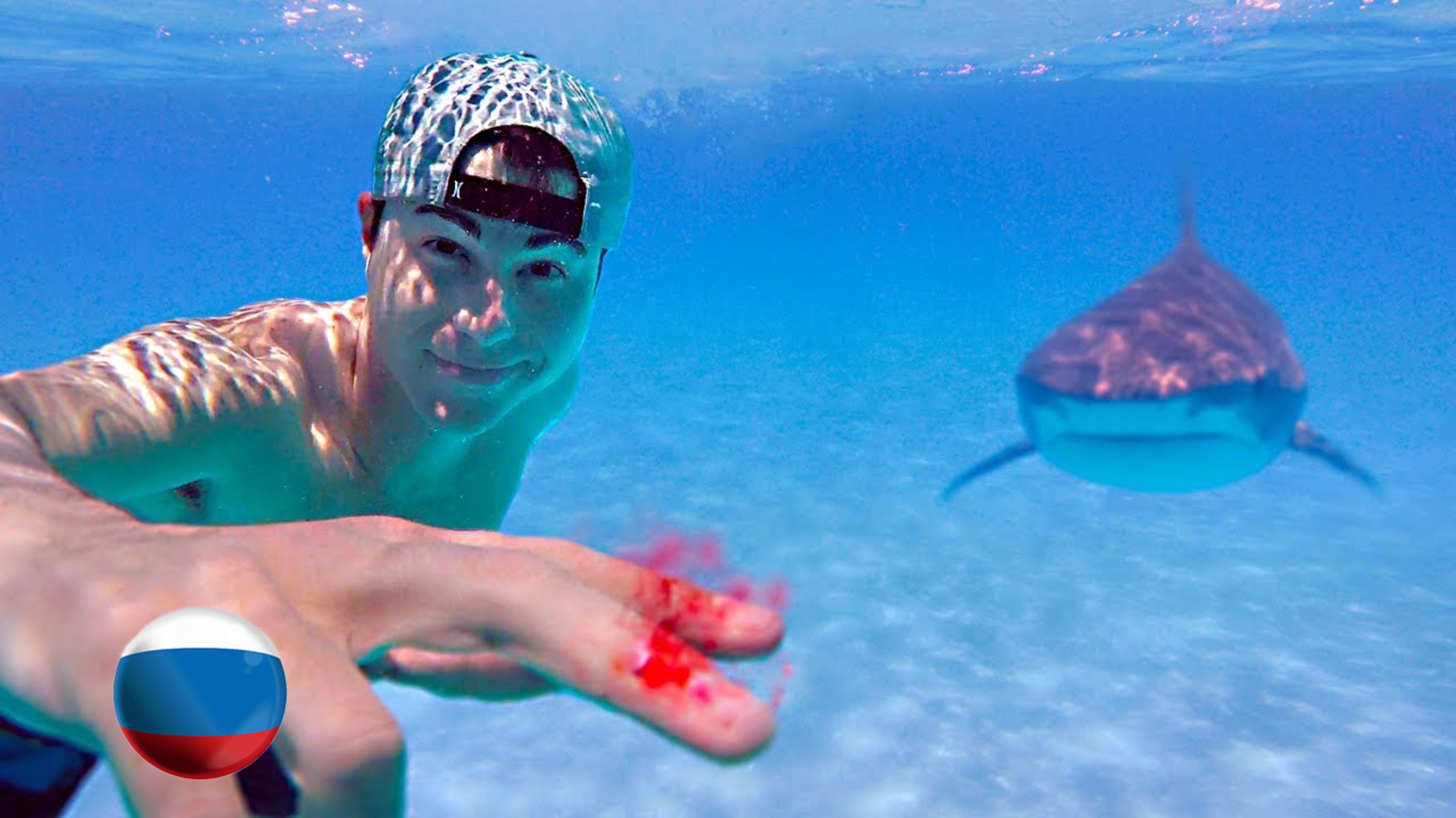 [Mark Rober] Проверяю, Чувствуют ли Акулы Запах Капли Крови [Марк Робер] смотреть онлайн