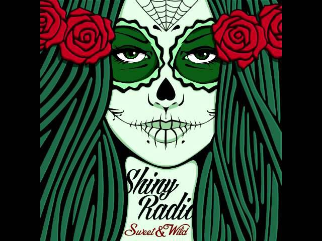 Shiny Radio - Hitch Hike