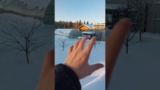 Приехал на дачу, мороз -15 градусов ?❄ смотреть онлайн