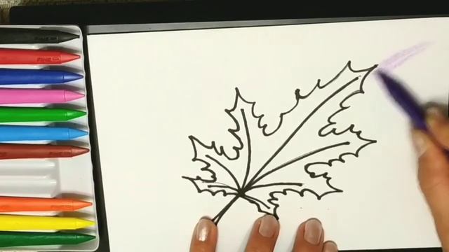 Кленовый лист. Как нарисовать лист клёна карандашами для детей. Рисуем вместе. Maple leaf смотреть онлайн