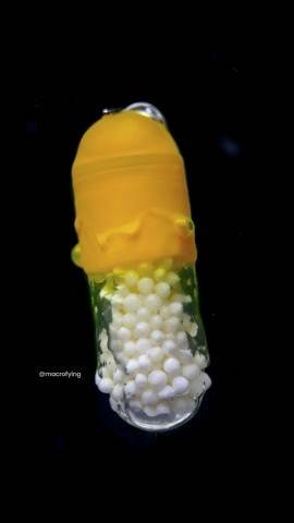 Pill dissolving in Water. смотреть онлайн