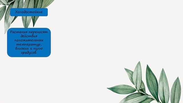 Как растения приспособлены к условиям жизни смотреть онлайн