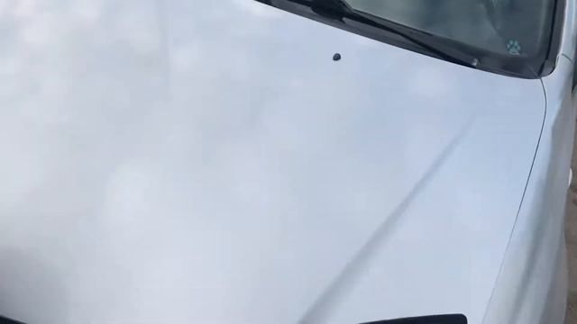 Шевроле лачетти где номер двигателя смотреть онлайн
