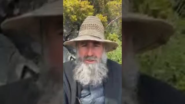 Магия. Компьютерные игры. Воспитание детей | Монах Андроник | Прямой эфир | Афон смотреть онлайн