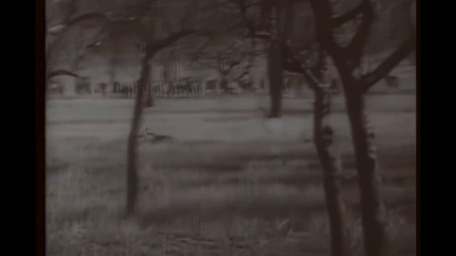 Simba; King of the Beasts - 1928 смотреть онлайн