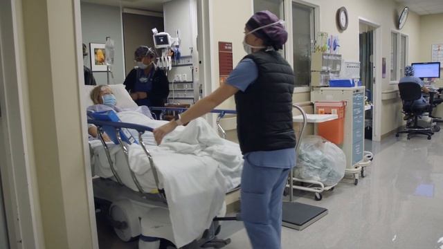 Organ Donation: Creating a Never Ending Chain смотреть онлайн