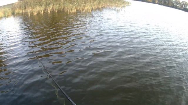 Рыбалка на районе. Ловля окуня на ультралайт от Spinning Travel осенью смотреть онлайн