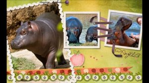 Детеныши и их родители. Дикие и домашние животные. Видео для детей 2-3 лет.