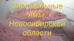 Обитание СУДАКА. Где и как искать СУДАКА зимой?