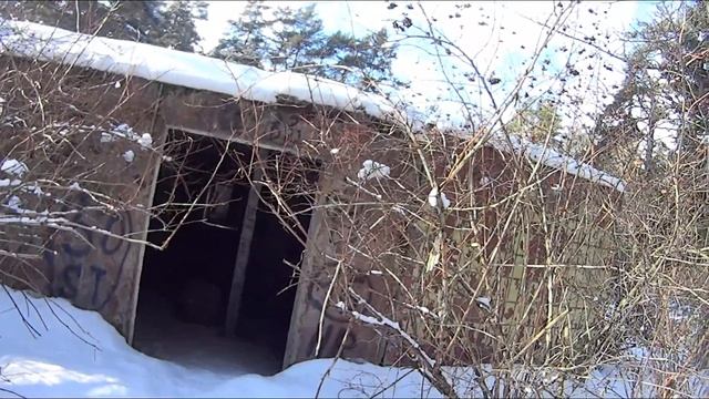 Чащя и заброшенный детский лагерь - Пешие прогулки https://vk.com/progulki69 смотреть онлайн