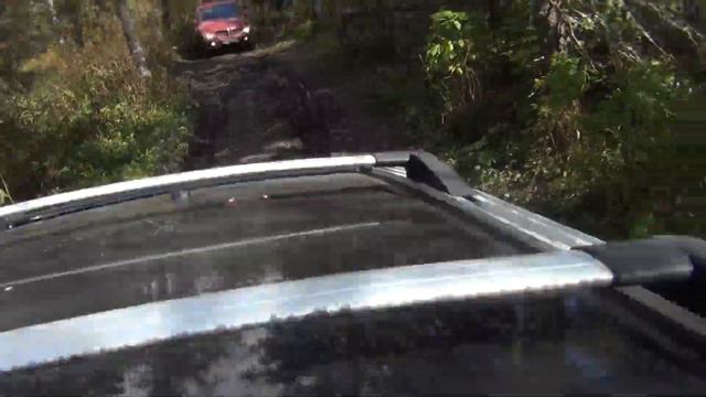 " Свора-Уреньга-трофи 2018" смотреть онлайн