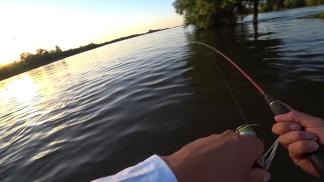 Вечерка возле дома. РЫБАЛКА на ЖЕРЕХА в АСТРАХАНИ 2020. Ловля жереха на спиннинг смотреть онлайн