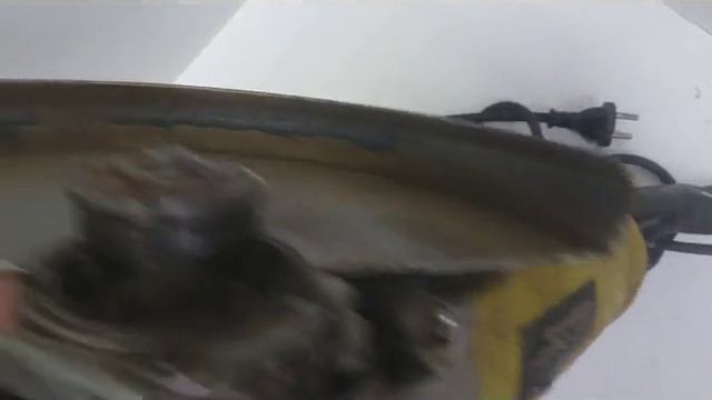 Видео №555992 смотреть онлайн