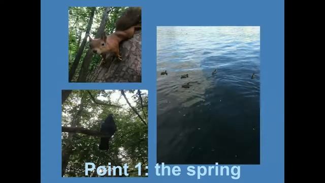 Global Forest Link: Building an Echo Trail in Skhodnenskaya Bowl (Russia) смотреть онлайн