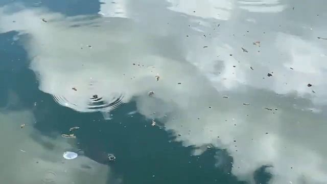 ???Поздравляю С Днём Святого Пантелеймона  Целителя!??? 9 Августа!