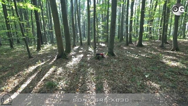 JBL Charge 4 vs Sony SRS-XB30 - outdoor sound test смотреть онлайн