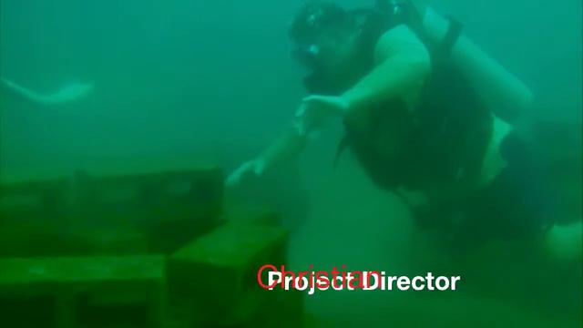 Condofish: Playa Hermosa Artificial Reef Project смотреть онлайн
