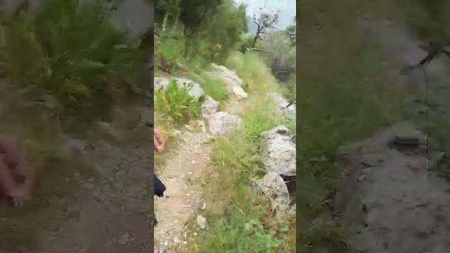 Замин смотреть онлайн
