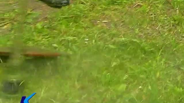 30 05 17 Организация летнего отдыха детей смотреть онлайн