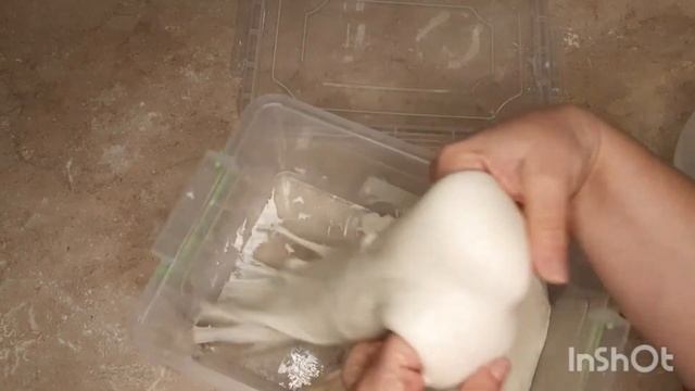 Ароматные Эксперименты