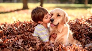 Александр Дольский - "Исполнение желаний"