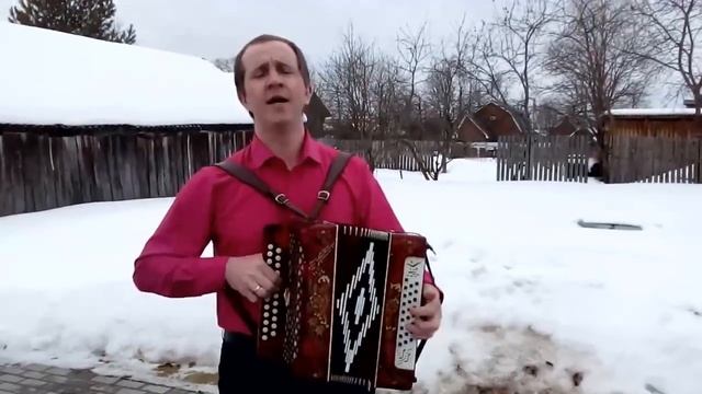 Тополя тополя все в пуху. Песня под гармонь. Поёт Роман Ивонинский .