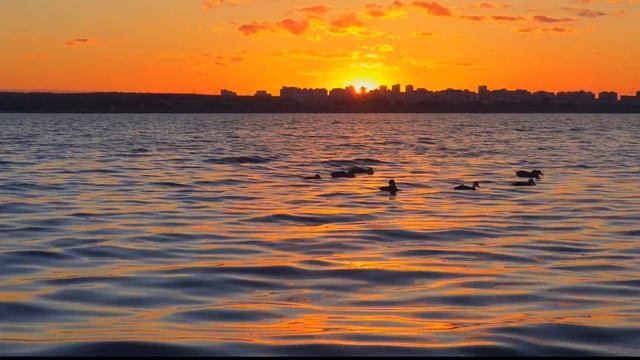 Закат на Шершневском водохранилище. Челябинск. 4к60 fps. video. UHD. смотреть онлайн