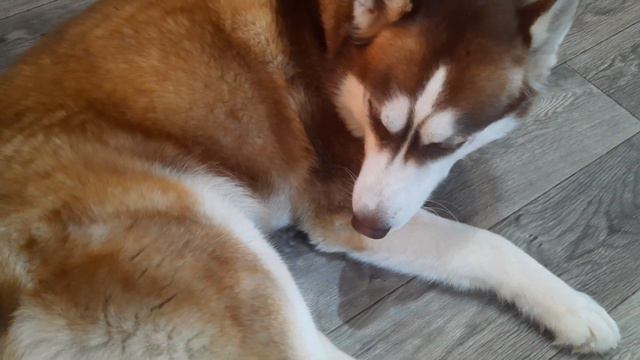 Бедный Байкал...впервые такое с ним смотреть онлайн