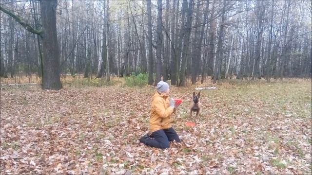 Улучшаем фристайлерную программу) малинуа Афи - часть 3 смотреть онлайн