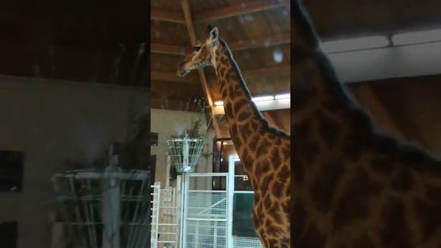 30 января 2022 г. смотреть онлайн