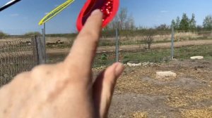 Отпугиватель ворон