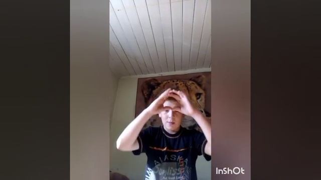 Как и откуда появились кошки , коты и котята смотреть онлайн