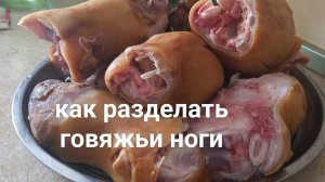 Справиться может каждый.разделка говяжьих ног на хаш.