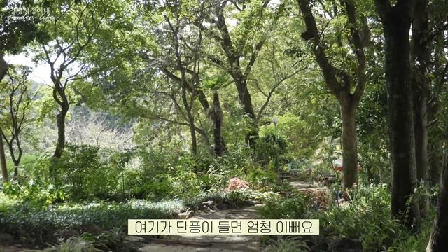 [남의집정원구경] 그림 그리듯이 정원을 가꿔요! 전남 순천 3천평 정원 '화가의 정원산책' смотреть онлайн