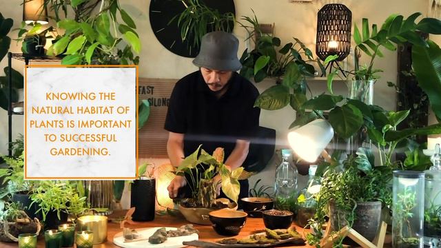 How to make your own tabletop plant sanctuary | Man Of The House Episode 6 смотреть онлайн