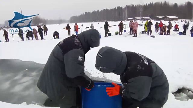 Запуск форели смотреть онлайн