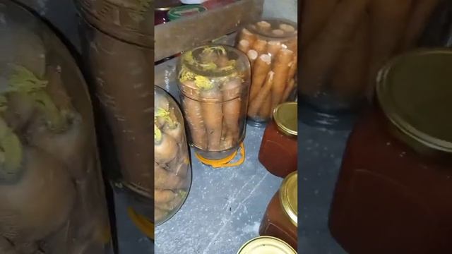 Морковь в банке через два месяца. смотреть онлайн