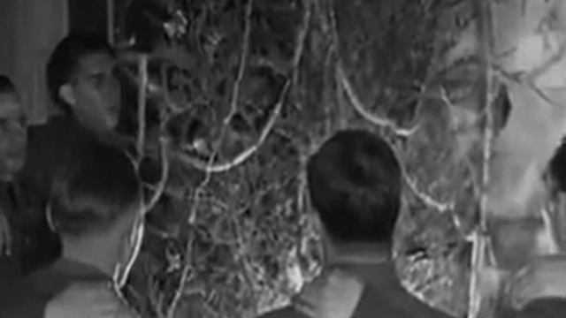 Happy Christmas (War is Over) смотреть онлайн