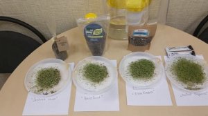 Эксперимент. Семена Чиа. Какие самые свежие и качественные? Часть 2.