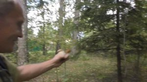 Поход по грибы с Александром Хабаркиным. Часть первая!