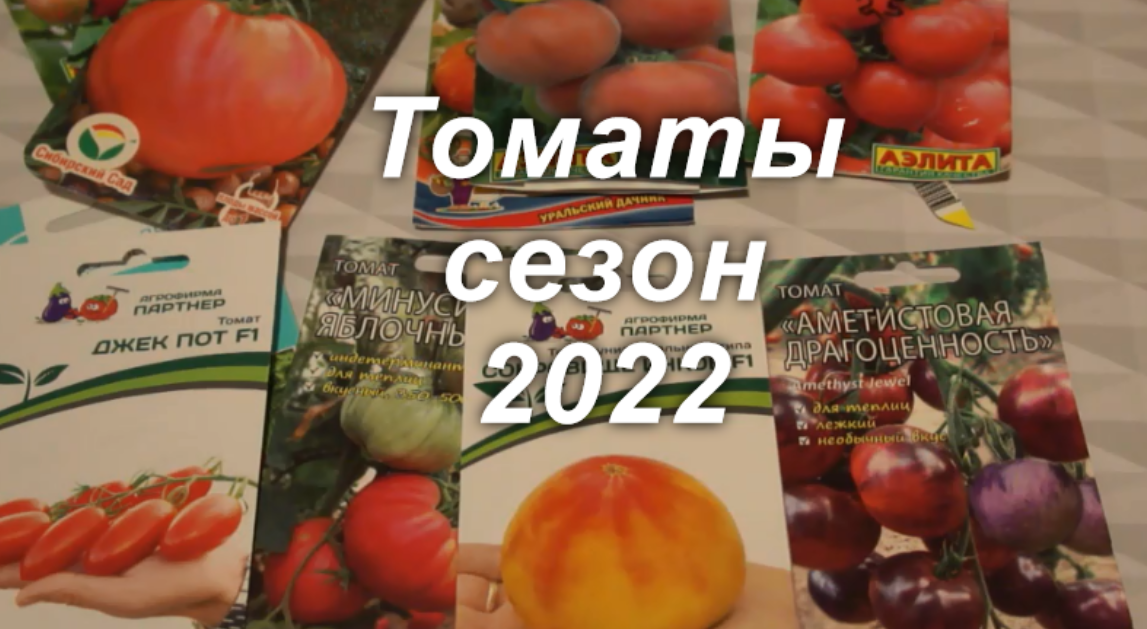 Обзор сортов томатов: проверенные и новые смотреть онлайн